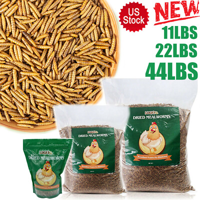Lot Dried Mealworms Bulk Non GMO Organic for Wild Blue Bird Food Chickens Hen $195.99
