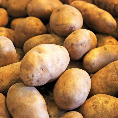 #ad Russet Idaho Potatoes Fresh Premium Fruit and Produce Vegetables 4 pound case $18.99