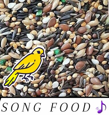 Canary Song Food Treat For Canaries FRESH From Bulk Choose Size $94.99
