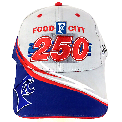 #ad #ad Food City 250 Nascar Hat Bristol Speedway Racing All Over Logo Baseball Dad Cap $29.99