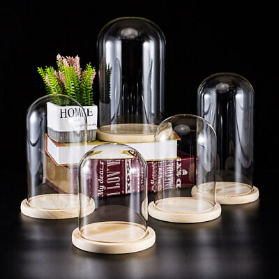 #ad #ad Glass Dome Display Bell Jar Sphere Cylinder Wood Base for Figure Flower Filling $9.67