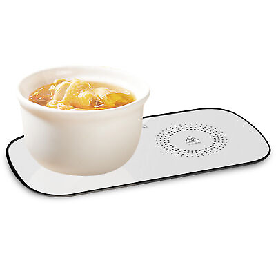 #ad Portable Electric Warming Tray With Temperature Portable Insulated Trays $36.57