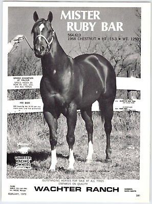 #ad 1973 MISTER RUBY BAR THOROUGHBRED HORSE BREED FEE 8quot;X11quot; Magazine Ad 1970#x27;s M387 $5.00