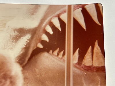 #ad #ad JA Photograph Close Up Abstract Shark Monster Mouth Teeth 1970#x27;s $14.96