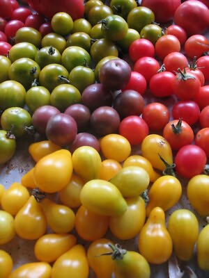 #ad #ad Mixed Heirloom Tomato Seeds Cherry Salad $3.00