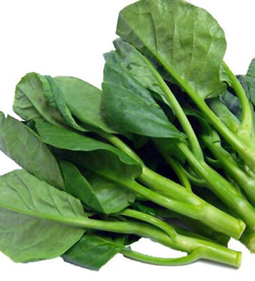 100 Seeds Chinese Kale Kailaan Chinese Broccoli Gai Lan Choi vegetable USA $1.99