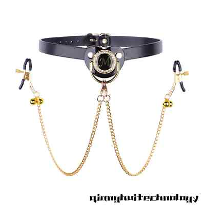 #ad Pacifier Mouth Gag Gold Chain Clamps Breast Clip Slaves Clamps Couples $31.80