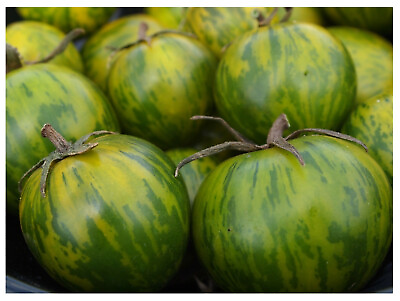 GREEN ZEBRA Tomato 25 1000 Seeds Heirloom Unique Beautiful Color Salad Bulk $12.14