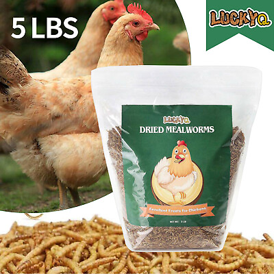 5 LBS Bulk Dried Mealworms for Wild Birds Food Chickens Hen Fish Treats Food USA $25.95