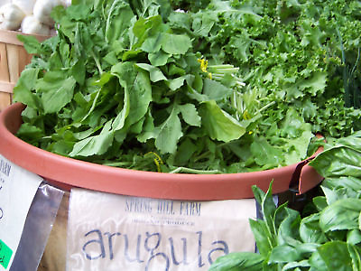 #ad arugula ROQUETTE salad greens 700 SEEDS GroCo BUY ANY 10 ITEMS SHIPS FREE $0.99