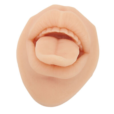 #ad Silicone Tongue Mouth Model 3D Simulation Soft Flexible Reusable Piercing Pr WPD $10.31