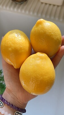 #ad #ad 5 Meyer Lemon 🍋 Seeds Organic NonGmo Pesticide Free Citrus Garden Fruit Tree $3.99