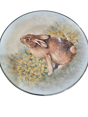 #ad #ad Pottery Barn Bunny Plate $28.99