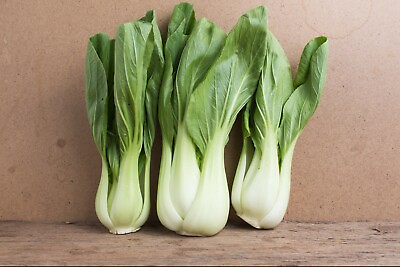 3000 CHINESE WHITE STEM PAK CHOI Bok Choy Chinese Cabbage Seeds Non GMO USA $3.97