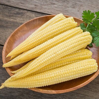 Baby Corn Seeds Non GMO Vegetable Seeds Seed Store 1110 $299.29