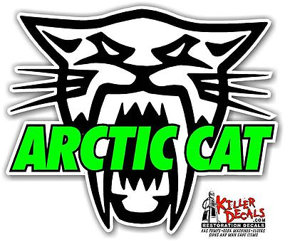 #ad ARCT 1 12quot; ARCTIC CAT SKULL SNOWMOBILE DECAL STICKER $9.99