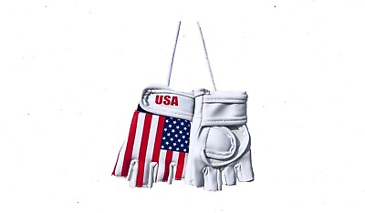 #ad MMA Mini Glove Decoration for the fan Brand New AMERICAN Flag $12.95