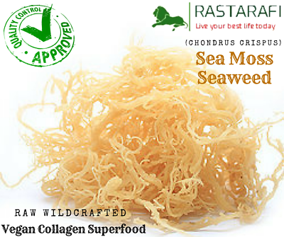 Rastarafi® Whole Leaf Irish Moss Sea Moss 1 lb Raw WildCrafted Superfood 16 Oz $22.95