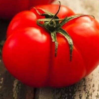 Beefsteak Tomato Seeds NON GMO Heirloom Fresh Vegetable Seeds $200.00