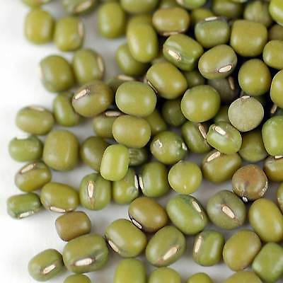 ORGANIC MUNG BEAN SPROUTING SEEDS GROW SPROUTS FOOD STORAGE CHINESE FOOD $144.80