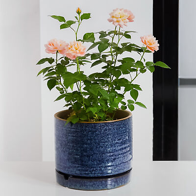 #ad #ad Pottery 8quot; Toramina Ceramic PlanterTealFlower Pot $13.87