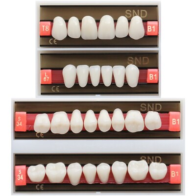 #ad 28pc Set B1T8 Full Mouth Dental Synthetic Acrylic Resin False Denture Fake Teeth $11.98