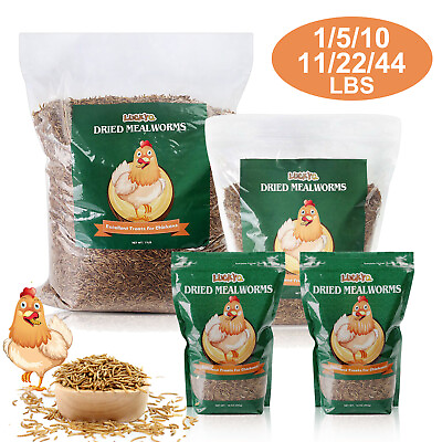 Wholesale Bulk Dried Mealworms for Wild Birds Food Blue Bird Chickens Hen Treats $195.98