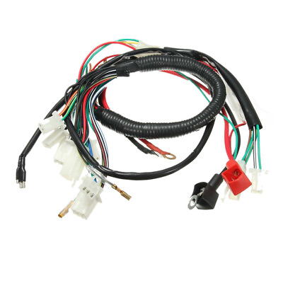 #ad Wiring Cable Harness For 50cc 70cc 90cc 110cc Chinese Electric Quad Pit ATV Bike $17.30