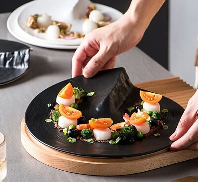 Ceramic Food Plate Dessert Dish Sushi Dinnerware Tableware Elegant Serving Wares $103.69