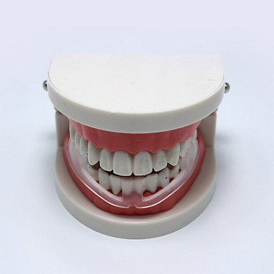#ad Tooth GrindingStorage Case Dental Mouth Guard Bruxism Splint Night Sleeping LO C $2.43