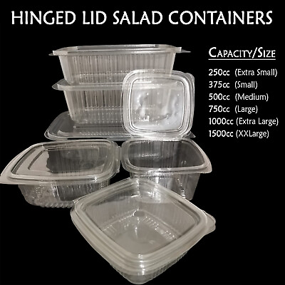 Clear Plastic Hinged Lid Containers Salad Food Snack Deli Pot Tub Takeaway Box GBP 39.95
