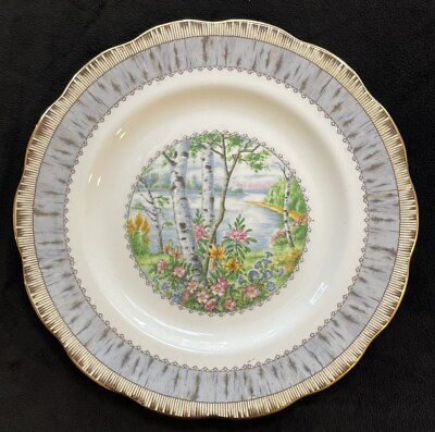 #ad #ad Royal Albert Silver Birch 8” Salad Plate 1975 97 Discontinued MINT $9.99