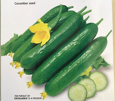 #ad #ad 15 Chinese Fruit Cucumber Seeds Burpless Hybrid Persian mini cucumber USA $3.39