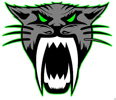 #ad 4quot; ARCTIC CAT HEAD DECAL Green fits anywhere snowmobile atv toolbox gift trailer $4.99