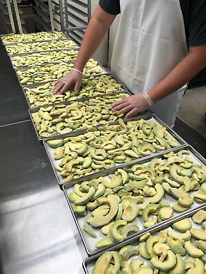 BULK Freeze Dried Sliced Fresh Avocado Camping Hiking Survival Storage Food USA $42.84