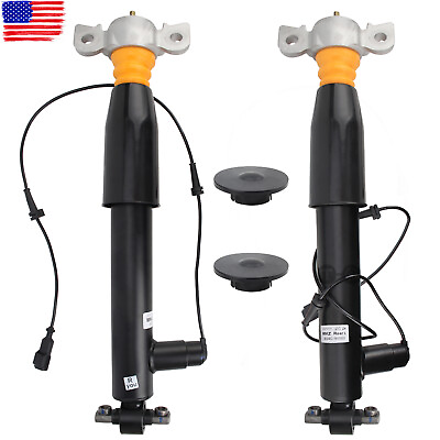 2x Rear Right Left Shock Strut Assys Electric For Lincoln MKZ Ford Fusion 2013 $189.96