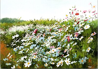 Field Of Daises Original Mouth Painting Flowers Nature Chrome Postcard UNP $4.00