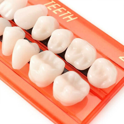 #ad 28Pcs Set Resin Teeth Model Durable Dentures Universal Resi False Teeth ECA $6.16